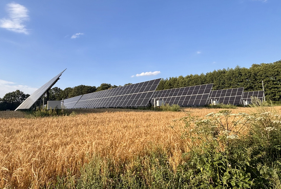 Eine Reihe von Solaranlagen steht auf einem Feld mit goldenem Getreide unter blauem Himmel. Im Vordergrund sind gelbe Getreideähren und grüne Pflanzen zu sehen, dahinter erstrecken sich mehrere Reihen geneigter Solarpaneele auf dem Acker. Im Hintergrund grenzen dichte Wälder an den Feldrand, der Himmel ist hellblau mit vereinzelten Wolken.